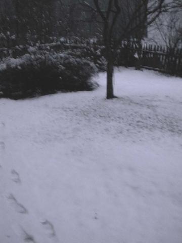 SORAFURCIA 2008 - 05